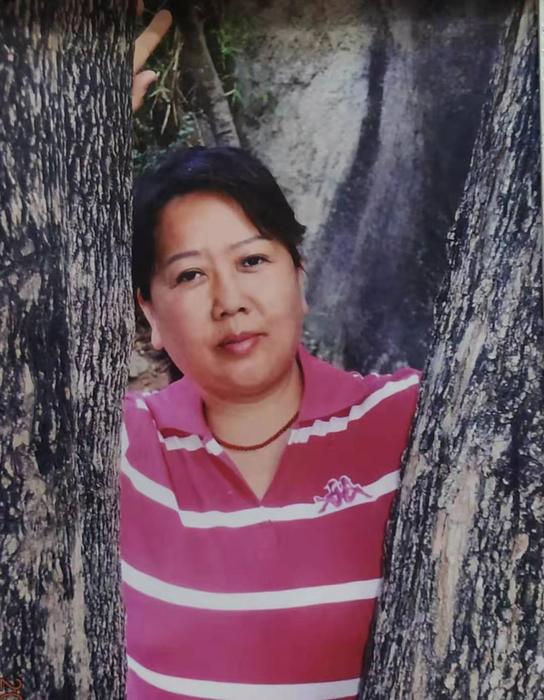 北京金正德书画院画家,王改凤